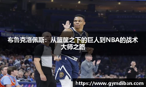哈哈体育布鲁克洛佩斯：从篮筐之下的巨人到NBA的战术大师之路
